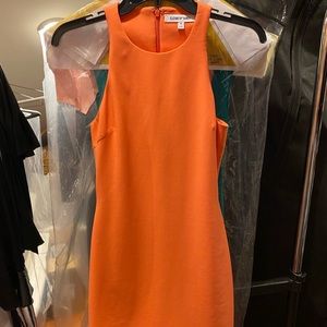 Elizabeth and james Dress, never worn/ no tags! Had it for so long never worn it